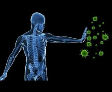 Best Immunity Boosting Food | Food That Helps To Treat covid- 19