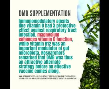 Vitamin D Magnesium Vitamin B12 (DMB Supplementation)