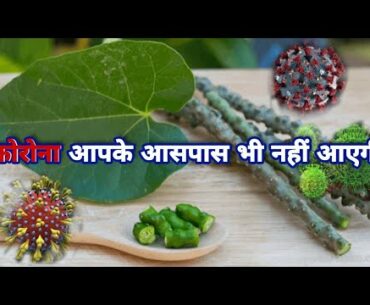 Immunity System ko Increase krne k liye | Giloy | Corona Virus | Mystery of Ayurveda