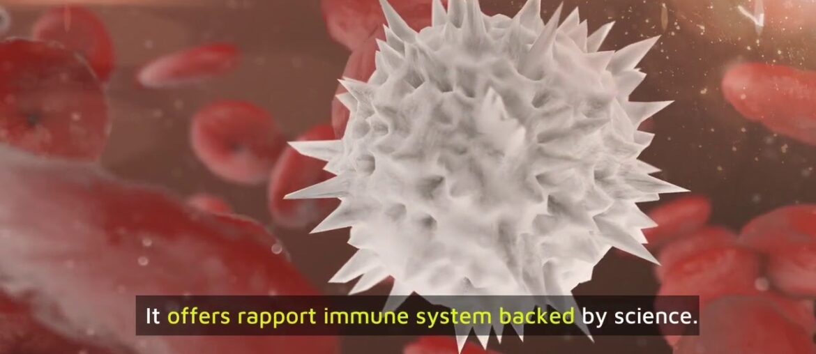 immune support vitamins - Immune Defence Review