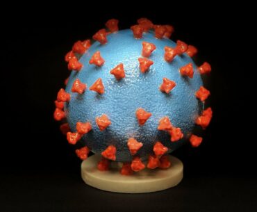 COVID-19: Origins, Spread, and Impacts