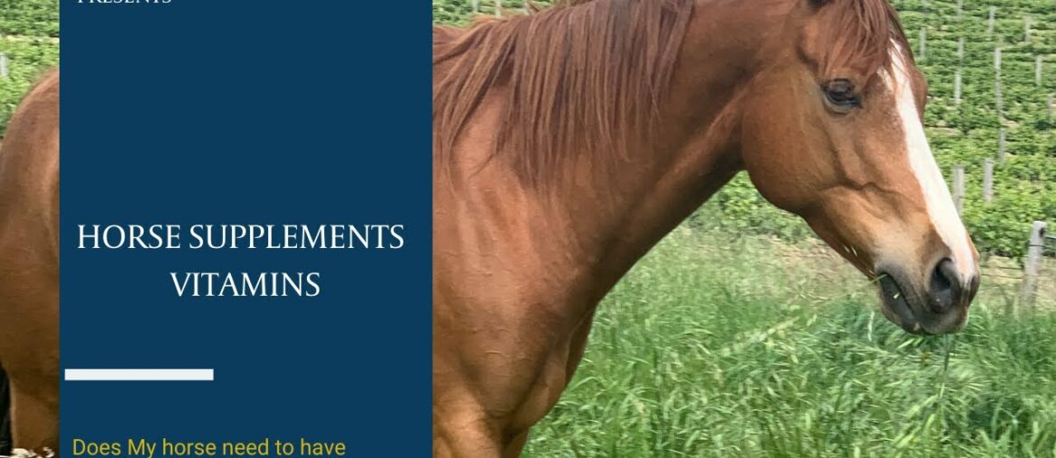 Horse Supplements - Vitamins?