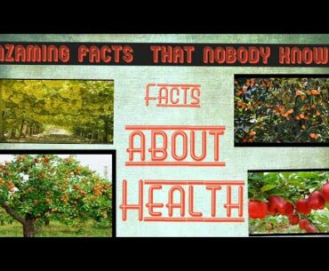 Facts About Health