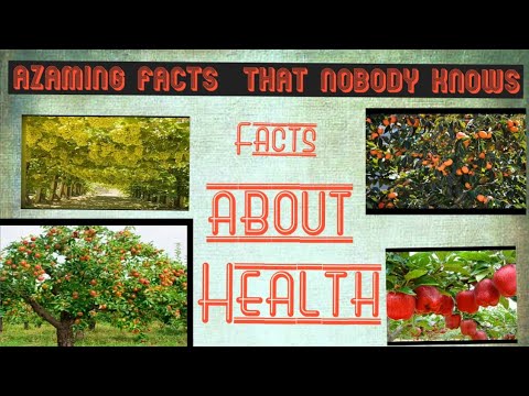 Facts About Health