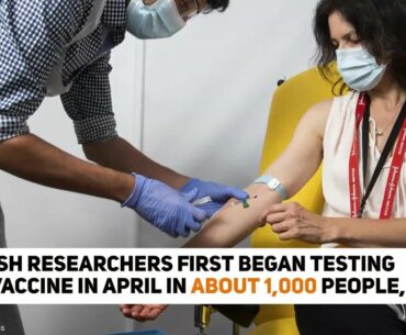 UK experimental COVID-19 vaccine provokes immune response in early test