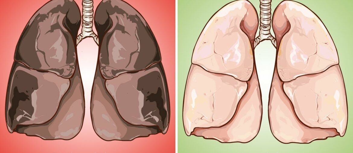 The Most Effective Foods to Cleanse your Lungs