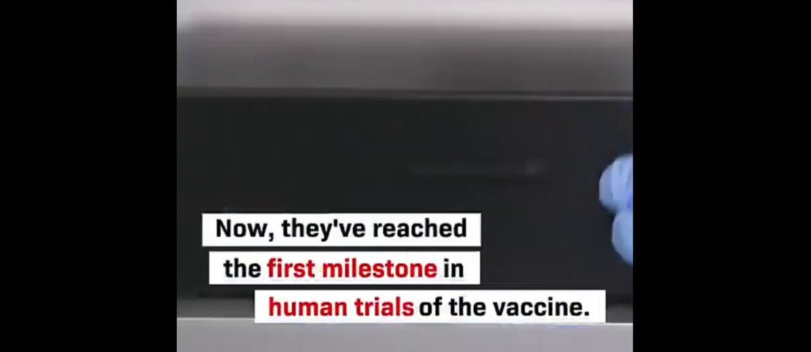 Coronavirus vaccine developed by Oxford University appears safe and trains the immune system