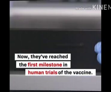 Coronavirus vaccine developed by Oxford University appears safe and trains the immune system