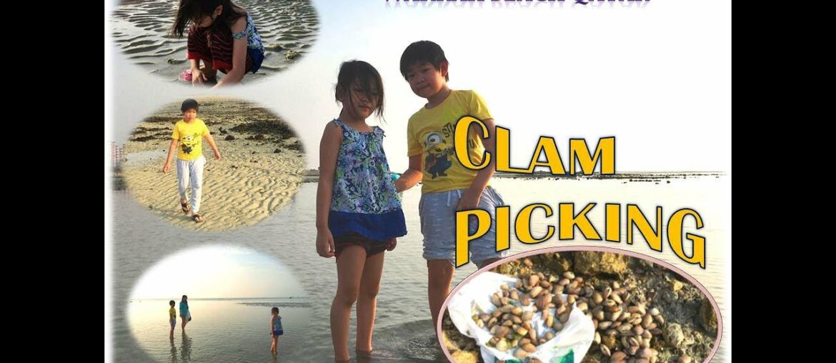 Zef & Zeh's Clam Picking at Al Wakrah Beach, Qatar