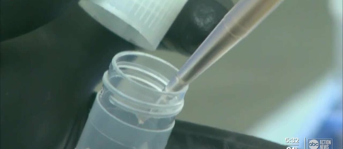 Study: Having antibodies does not mean you're immune to COVID-19