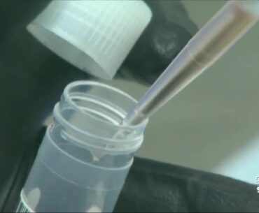 Study: Having antibodies does not mean you're immune to COVID-19