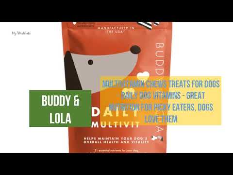 5 Most Wanted Dog Vitamins and Minerals Supplements with Best Price in 2020