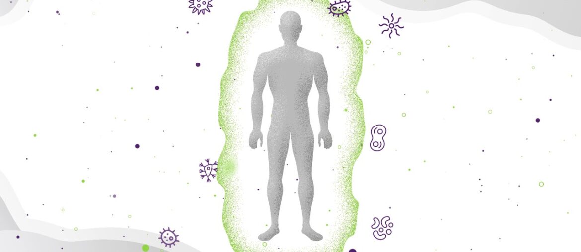 How ImmunityHealth & New Zealand blackcurrants support a stronger immunity | VitalityNZ