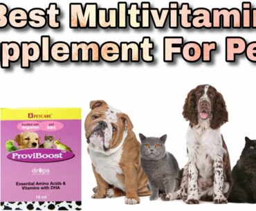 Best Multivitamin Supplement For Pets || Proviboost For Pets || HappyPet