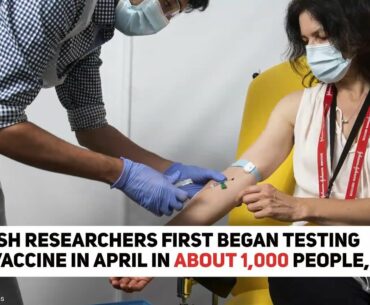 Experimental coronavirus vaccine in UK prompts immune response in early test