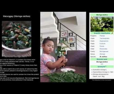 Malunggay (Moringa oleifera) - Nutritional Facts @iLike8Tv