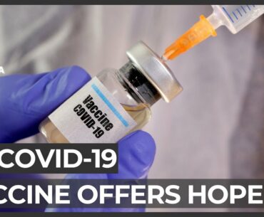 'Very positive': UK vaccine prompts immune response in