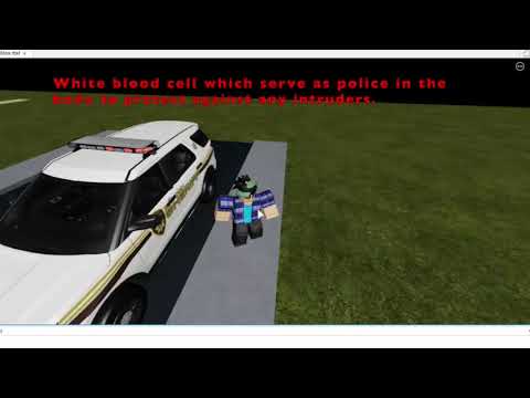 Some young people get more sick with Coronavirus or COVID-19 - Immunity, Cytokines and inflammation