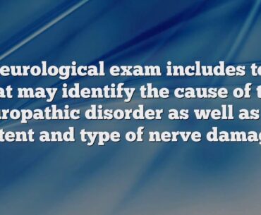 Best How To Boost Immune System Fast Review - Covid 19 Help (2020)