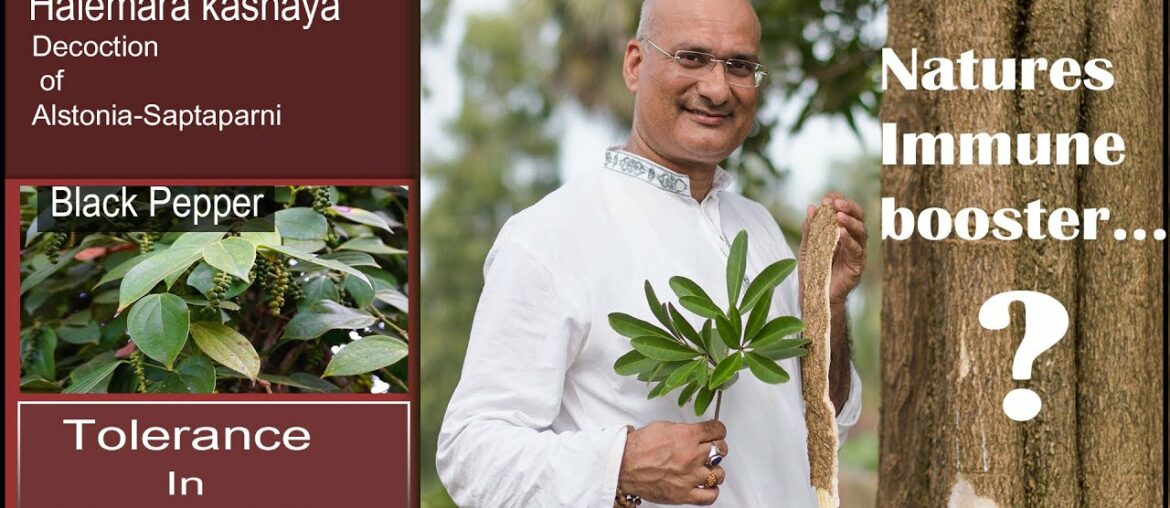 AATI AMAVASYA | ALSTONIA, NATURE'S SOLUTION FOR VIRAL INFECTION | COVID-19 | AYURVEDA  | IMMUNITY