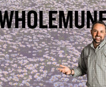 Immune Support Supplements - WholeMune