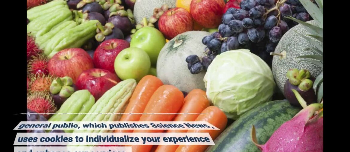 Vitamins, Minerals and Nutritional Supplements: Diet Fundamentals Explained