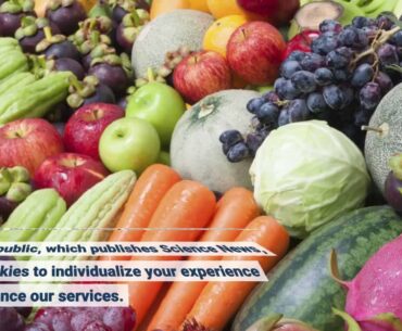 Vitamins, Minerals and Nutritional Supplements: Diet Fundamentals Explained