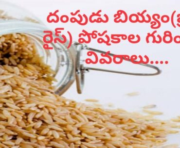 Facts About Brown Rice Nutrition