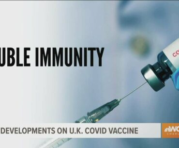COVID-19 vaccine could cause 'double immunity' from virus
