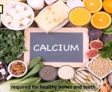 Food for Health(Proteins, carbohydrates, fats, vitamins, nutrients, roughage, diet) #KV