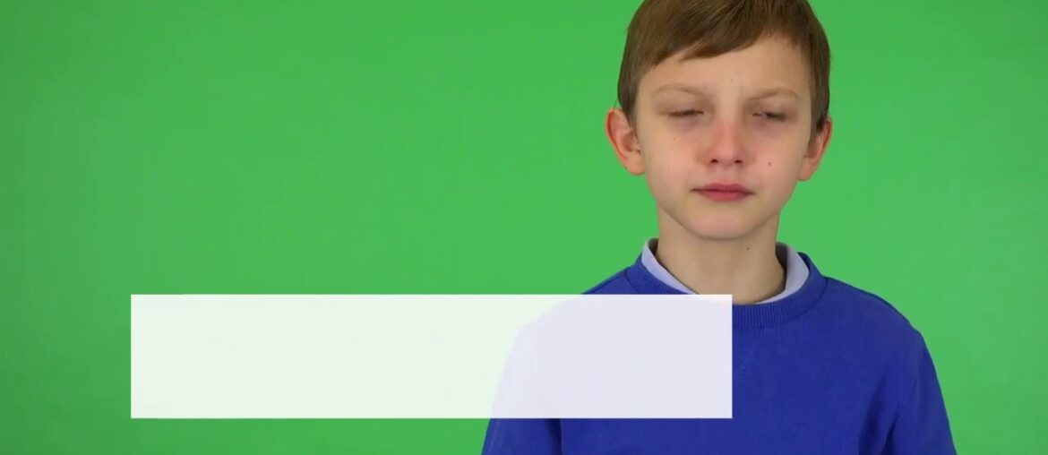 stress immune system - Immune Defence Review