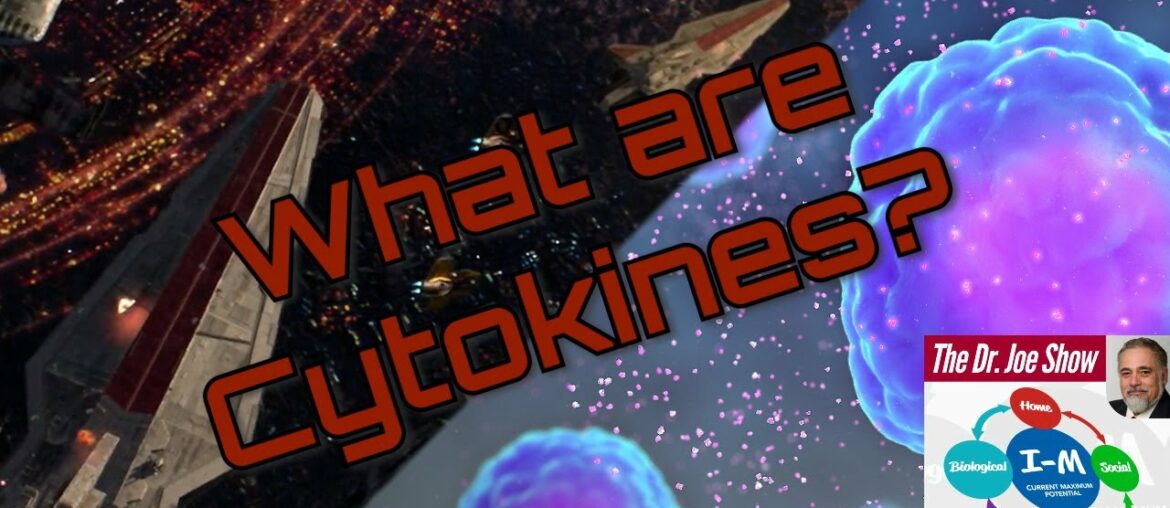 How Does the Immune System Deal with COVID-19?