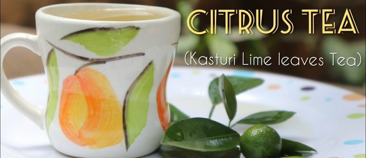 Citrus Tea|kasturi lime leaves Tea|Immunity boosting Tea COVID -19|Benefits of  Calamansi Lime