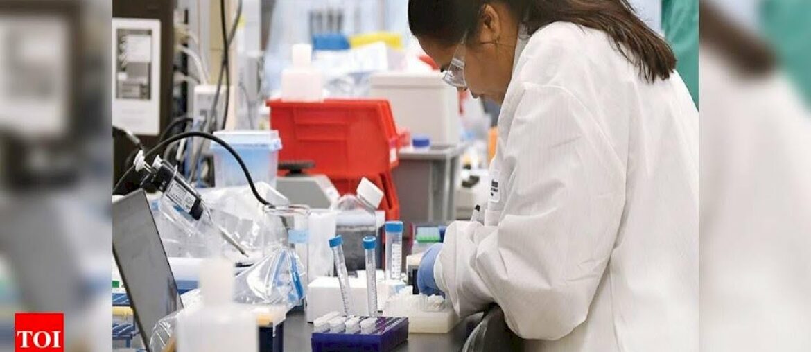 New study show immunity drops quickly in mild Covid-19 cases - Times of India