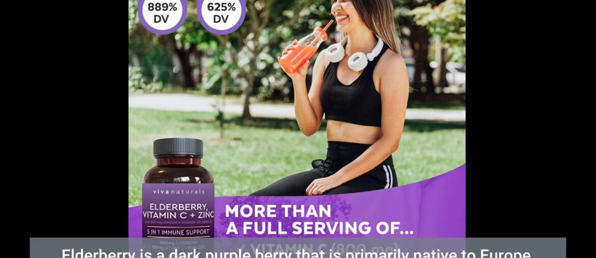 Elderberry, Vitamin C, Zinc, Vitamin D 5000 IU & Ginger Immune Support Supplement, 2 Month Supp...