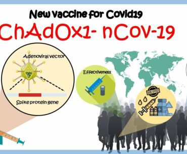 Covid 19 vaccine ChAdOx1 nCov19 latest updates | how does it work ? how safe it is ?