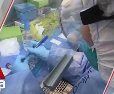 How govts control spread of COVID-19 depends on 'preparedness going back decades': Expert