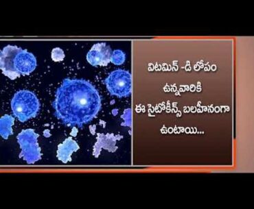 Covid 19   D vitamin  //  kv school education