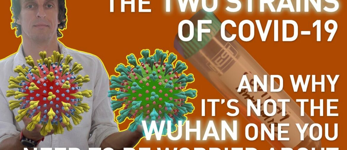 The Two Strains of Covid-19: And Why it's Not the Wuhan One You Need To Be Worried About