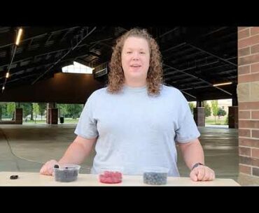 Fruit of the Week -  Meet Berries