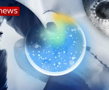 Coronavirus: 'Vaccine produced in UK for fear US will take it'