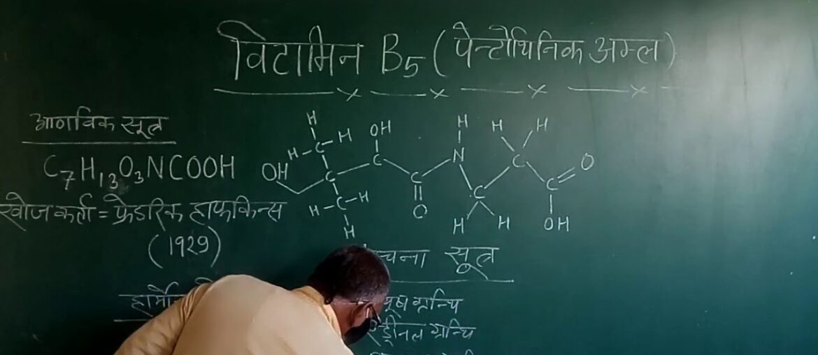 #18 Knowledge about Vitamin "B5"  ( Pantothenic acid )