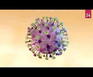 Scientists find coronavirus's immune system inhabiting mechanism