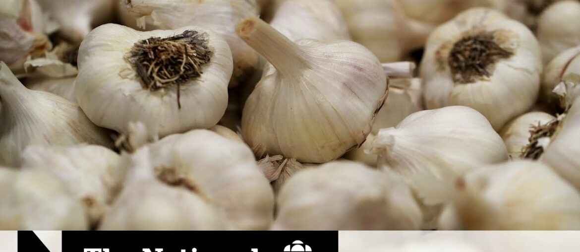 Busting garlic cures and other false coronavirus claims