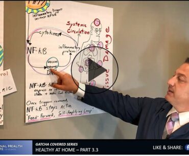 Healthy at Home PT 3 - Immunity Defense Explained - COVID-19 (CoronaVirus)