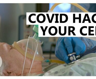 COVID Could Shut Down Your Immune System: Scientists