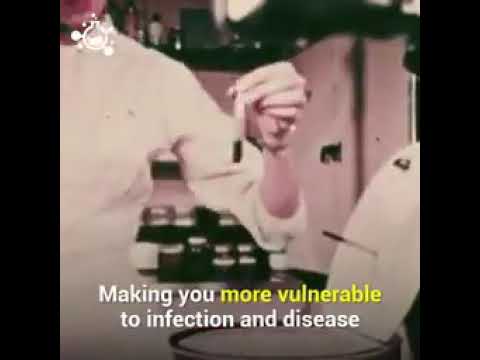 STRESS IS NOT GOOD IN OUR IMMUNE SYSTEM