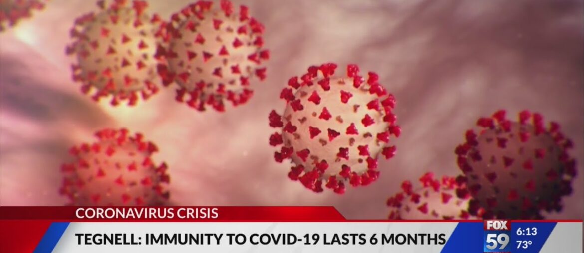 Immunity to COVID-19 lasts 6 months, Swedish doctor says