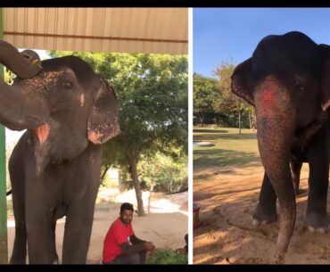 VItaMIN Video Series 13