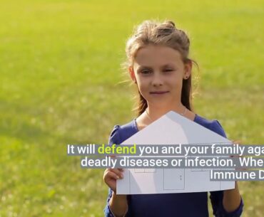 what is the function of the immune system - Immune Defence Review